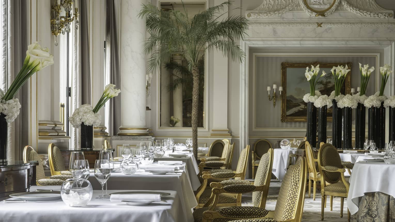 Le Cinq galerie 2